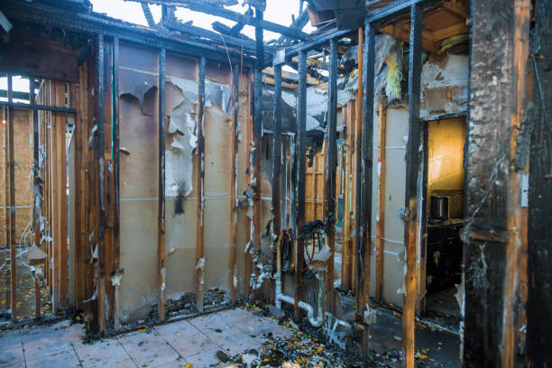 Professional Soot Cleanup technician working in The Pinehills, MA